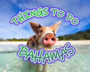 Things to do in Bahamas