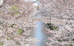 Uji, Kyoto travel guide